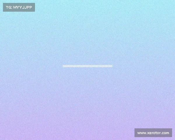 福建奇迹三人篮球俱乐部勇夺德州平原赛区冠军,彰显团队实力与拼搏精神! 福建奇迹三人篮球俱乐部勇夺德州平原赛区冠军,彰显团队实力与拼搏精神!