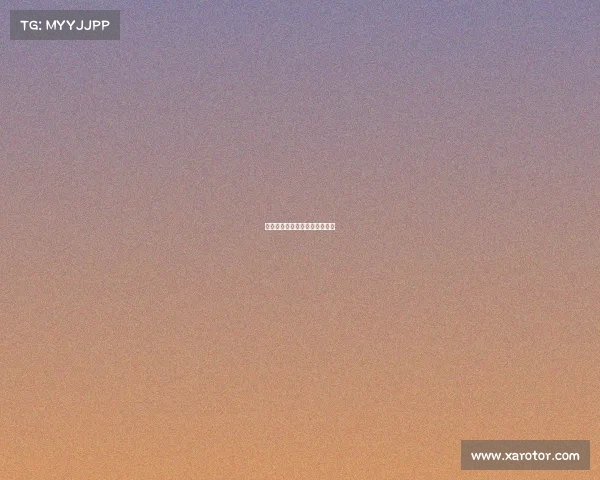 快船队全面压制，轻松带走胜利